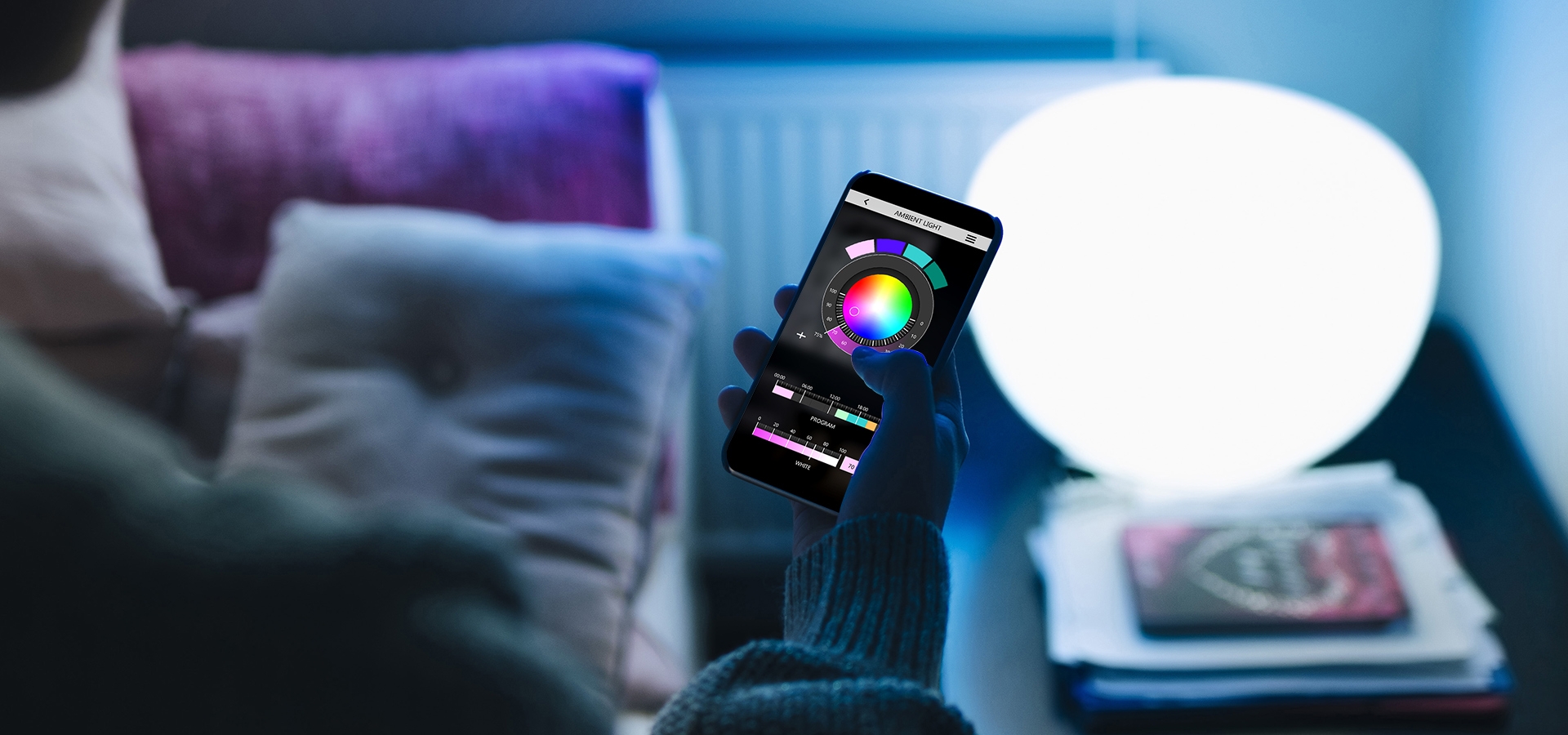 Delégo RGB Dimmer and Colour Control