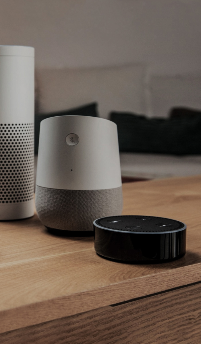 Alexa ve Google Asistan ile Sesli Kontrol