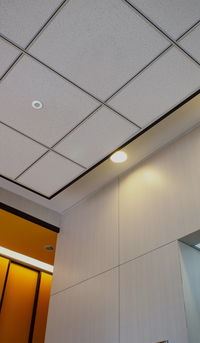 Presence and motion detection