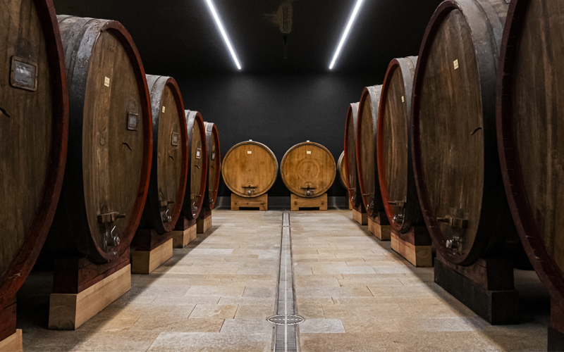 Cantina Nervi