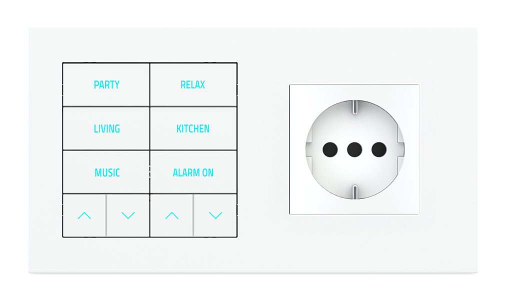 10-fold pushbutton with backlit text/symbols, proximity sensor to be used with power sockets for 2-fold plate (60x45 mm module)