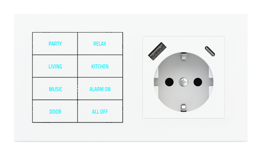 8-fold pushbutton with backlit text/symbols, proximity sensor and socket point for 2-fold plate (60x55 mm module) - FR USB