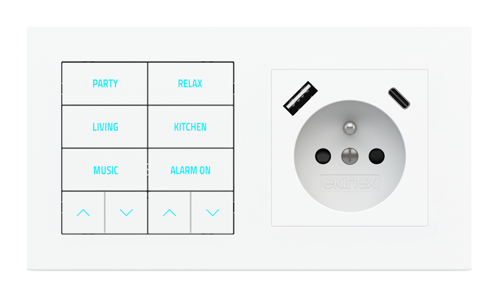10-fold pushbutton with backlit text/symbols, proximity sensor and socket point for 2-fold plate (60x55 mm module) - FR USB